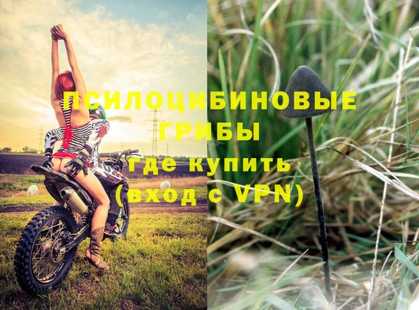 гидропоника Армянск