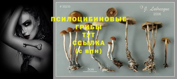мяу мяу кристалл Арсеньев