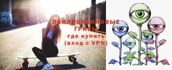 мяу мяу кристалл Арсеньев