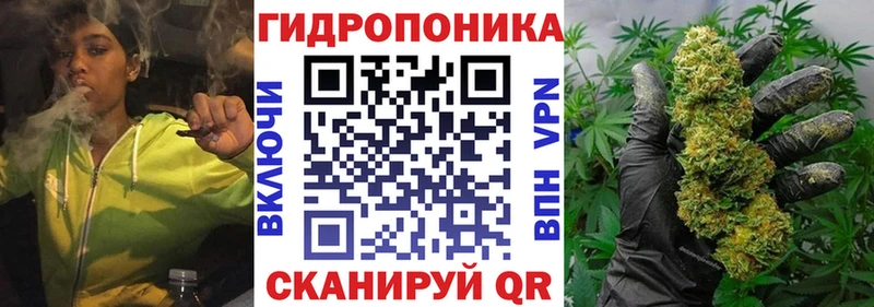 Шишки марихуана OG Kush  Ветлуга 